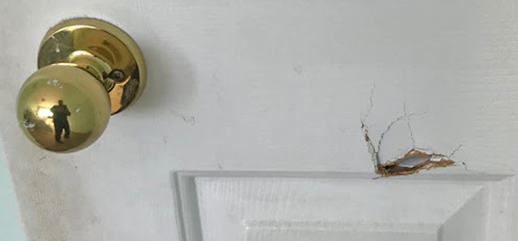 interior door hole repair New Smyrna Beach