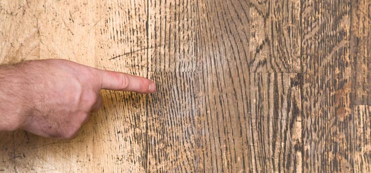 Wood Door Scratch Repair in New Smyrna Beach